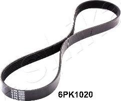 Ashika 112-6PK1020 - V-Ribbed Belt car-mod.net