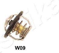 Ashika 38-0W-W09 - Coolant thermostat / housing car-mod.net