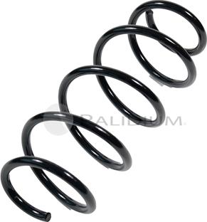 Ashuki PAL10-0006 - Coil Spring car-mod.net