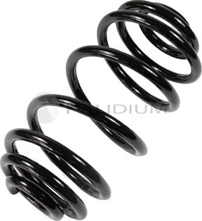 Ashuki PAL10-1019 - Coil Spring car-mod.net