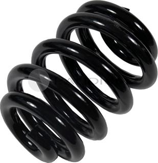 Ashuki PAL10-1024 - Coil Spring car-mod.net