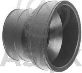 Aslyx AS-521270 - Hose, air supply car-mod.net