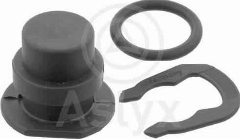 Aslyx AS-103540 - Sealing Plug, coolant flange car-mod.net
