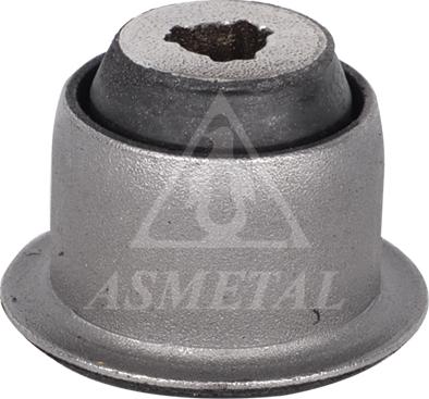 AS Metal 38RN2000 - Bush of Control / Trailing Arm car-mod.net