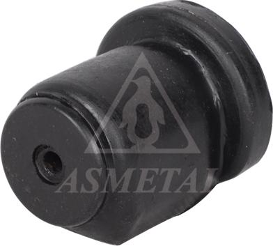 AS Metal 38VW1005 - Bush of Control / Trailing Arm car-mod.net