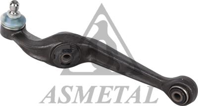 AS Metal 23PE1000 - Track Control Arm car-mod.net