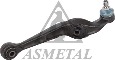 AS Metal 23PE1001 - Track Control Arm car-mod.net