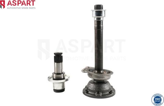 ASPART 1DSH1001 - Stub Axle, differential car-mod.net