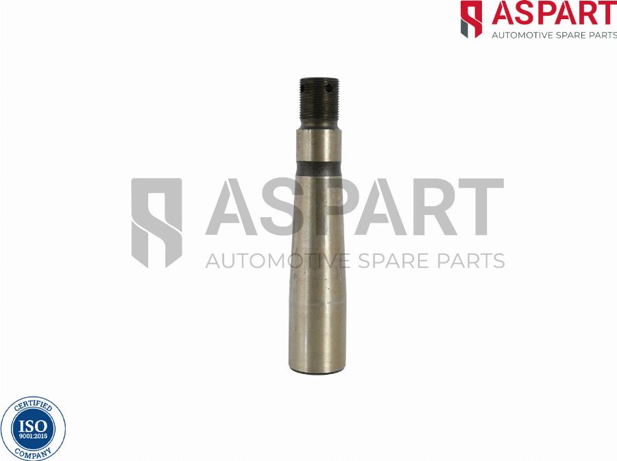 ASPART 1RKI1035 - Repair Kit, kingpin car-mod.net