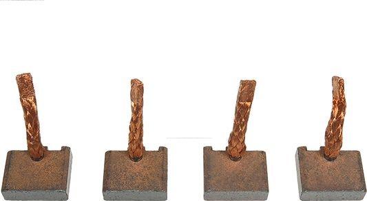 AS-PL BSX220-221 - Carbon Brush, starter car-mod.net