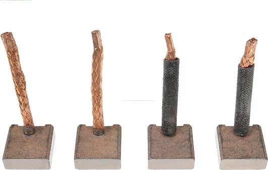 AS-PL SB5002 - Carbon Brush, starter car-mod.net