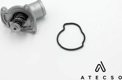 ATECSO TRM00119 - Gasket, thermostat housing car-mod.net