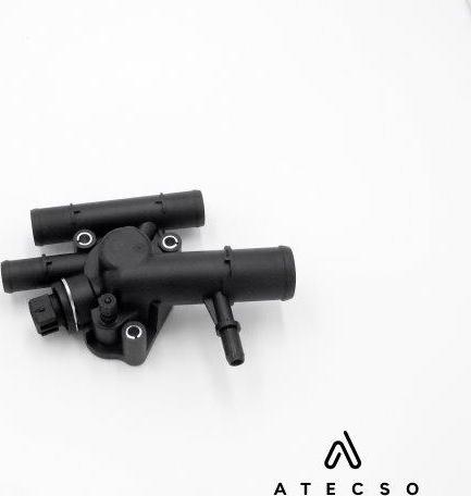 ATECSO TRM00132 - Gasket, thermostat housing car-mod.net