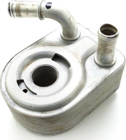 ATMMotoren 10010093 - Oil Cooler, engine oil car-mod.net