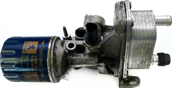 ATMMotoren 10010230 - Oil Cooler, engine oil car-mod.net