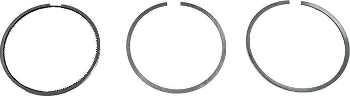 ATMMotoren 10025359 - Piston Ring car-mod.net