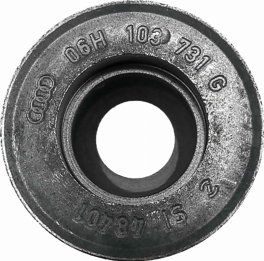 ATMMotoren 10021993 - Belt Pulley, crankshaft car-mod.net