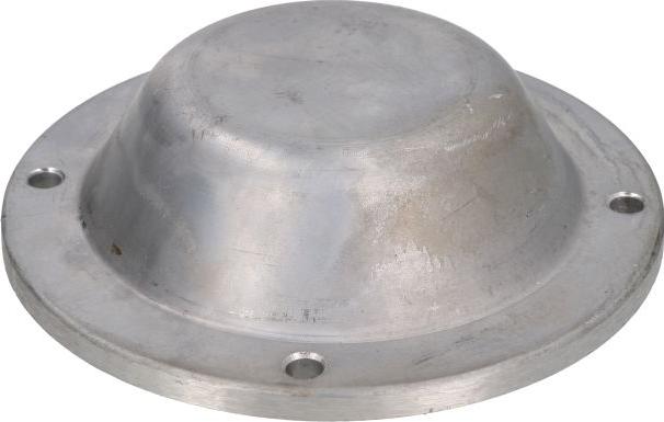 Auger 80248 - Cap, wheel bearing car-mod.net