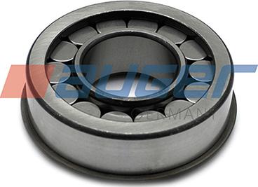 Auger 74786 - Bearing, differential shaft car-mod.net