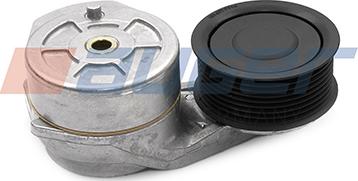 Auger 76025 - Belt Tensioner, v-ribbed belt car-mod.net
