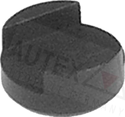 Autex 956013 - Thrust Piece, inlet / outlet valve car-mod.net