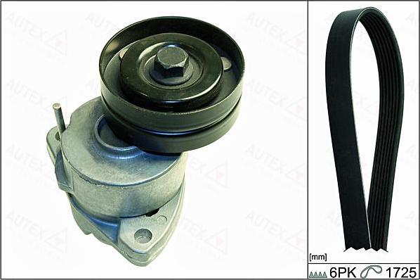 Autex 702899 - V-Ribbed Belt Set car-mod.net