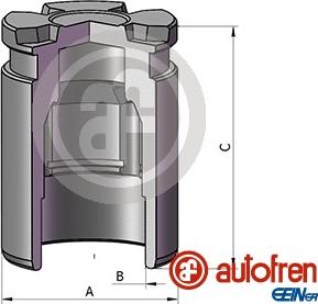 AUTOFREN SEINSA D025698 - Piston, brake caliper car-mod.net