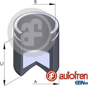 AUTOFREN SEINSA D025129 - Piston, brake caliper car-mod.net