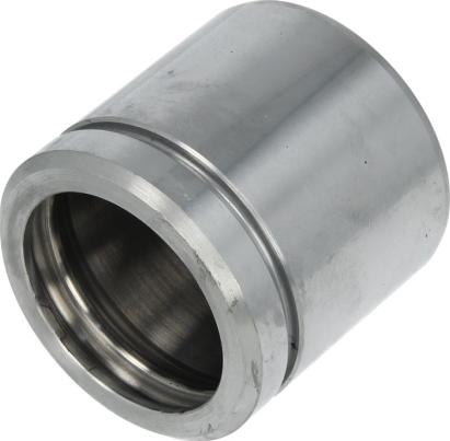 AUTOFREN SEINSA D025107 - Piston, brake caliper car-mod.net