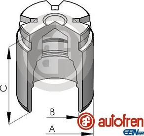 AUTOFREN SEINSA D025124 - Piston, brake caliper car-mod.net