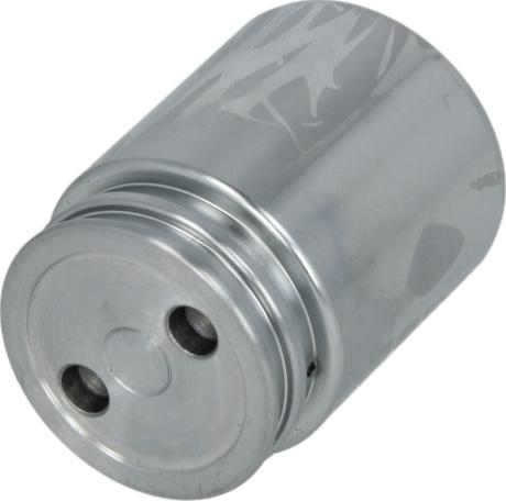AUTOFREN SEINSA D025251 - Piston, brake caliper car-mod.net