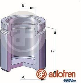 AUTOFREN SEINSA D025250 - Piston, brake caliper car-mod.net