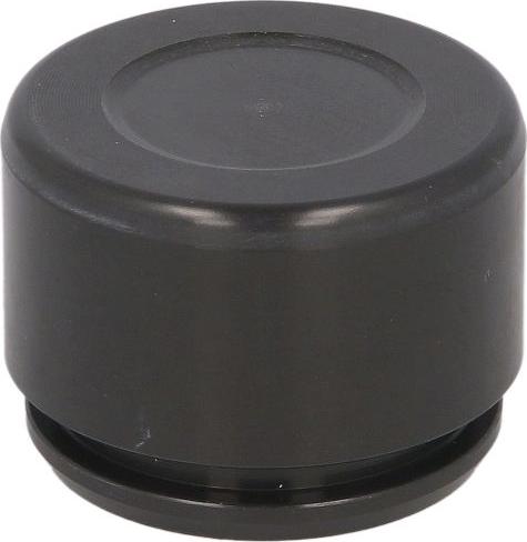 AUTOFREN SEINSA D025775 - Piston, brake caliper car-mod.net
