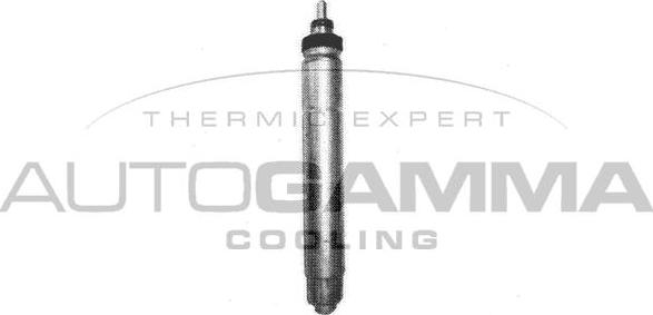 Autogamma 106300 - Dryer, air conditioning car-mod.net