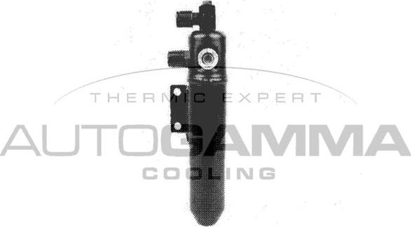 Autogamma 106293 - Dryer, air conditioning car-mod.net