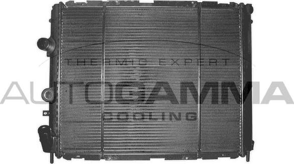 Autogamma 101417 - Radiator, engine cooling car-mod.net
