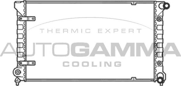 Autogamma 102969 - Radiator, engine cooling car-mod.net