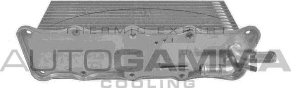 Autogamma 107772 - Intercooler, charger car-mod.net