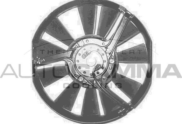 Autogamma GA204413 - Fan, radiator car-mod.net