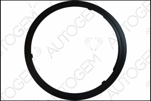 AUTOGEM CEG9572 - Gasket, exhaust pipe car-mod.net