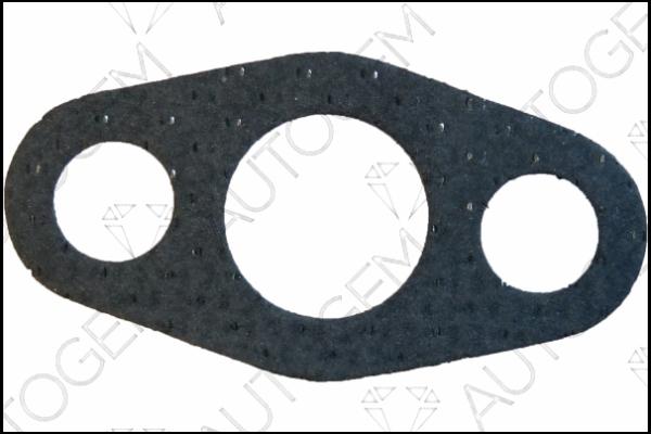 AUTOGEM CEG9608 - Gasket, charger car-mod.net