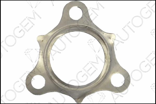AUTOGEM CEG9334 - Gasket, charger car-mod.net
