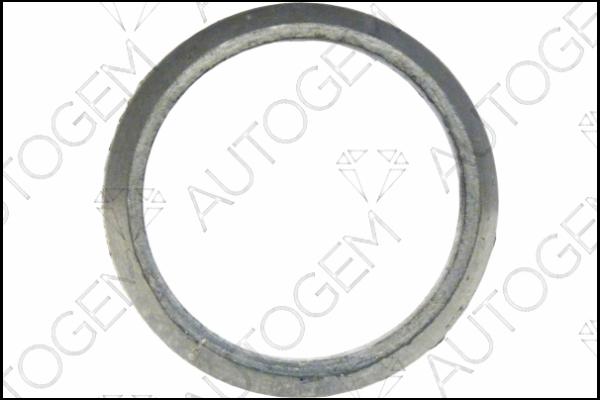 AUTOGEM CEG9330 - Seal Ring, exhaust pipe car-mod.net