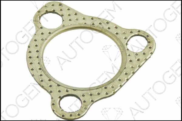 AUTOGEM CEG430 - Seal, turbine inlet (charger) car-mod.net