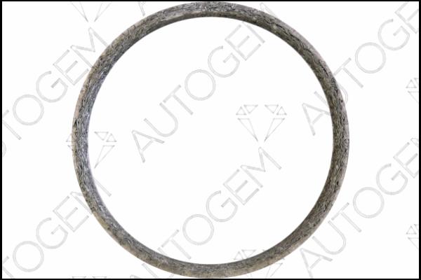 AUTOGEM CEG4218 - Seal Ring, exhaust pipe car-mod.net
