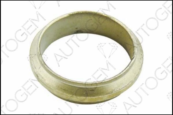 AUTOGEM CEG188 - Seal Ring, exhaust pipe car-mod.net