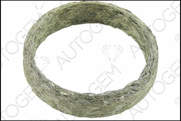 AUTOGEM CEG7573 - Seal Ring, exhaust pipe car-mod.net