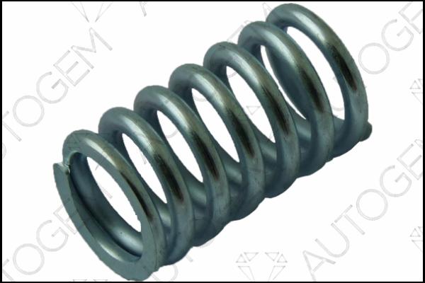 AUTOGEM CSC985 - Spring, silencer car-mod.net