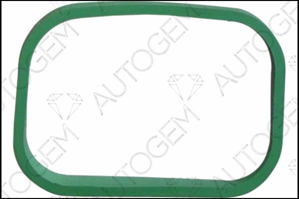 AUTOGEM CSM984 - Gasket, intake manifold car-mod.net