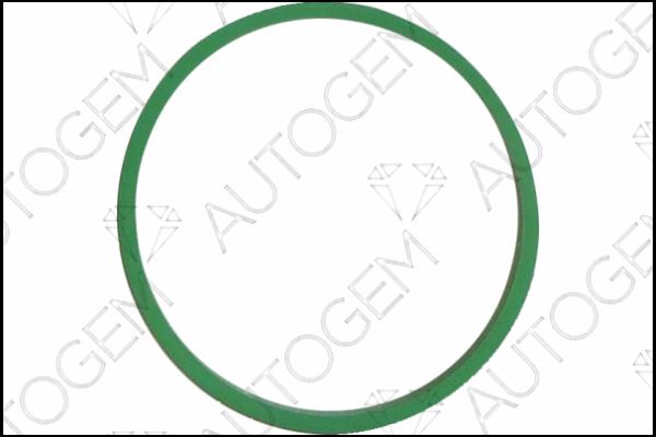 AUTOGEM CSM7809 - Gasket, intake manifold car-mod.net